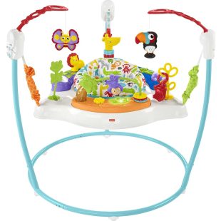 Fisher Price Animal Activity Jumperoo