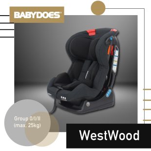 Babydoes Westwood Carseat – Black