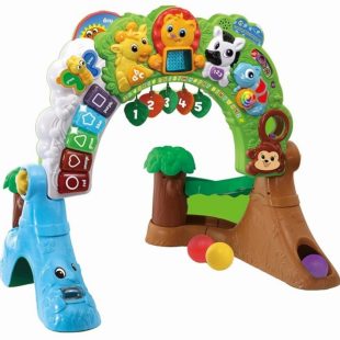 LeapFrog Learning Safari Playspace