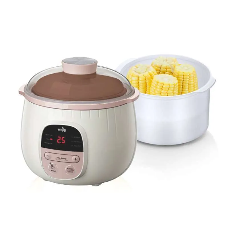 Emily Slow Cooker 0.8L Clay Pot 2